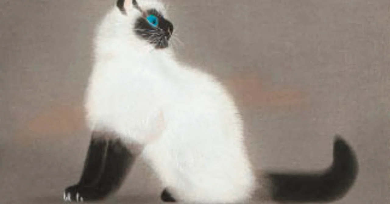 加山又造】 木版画 「猫」 査定 鑑定 買取 致します｜井浦歳和 ロイド 