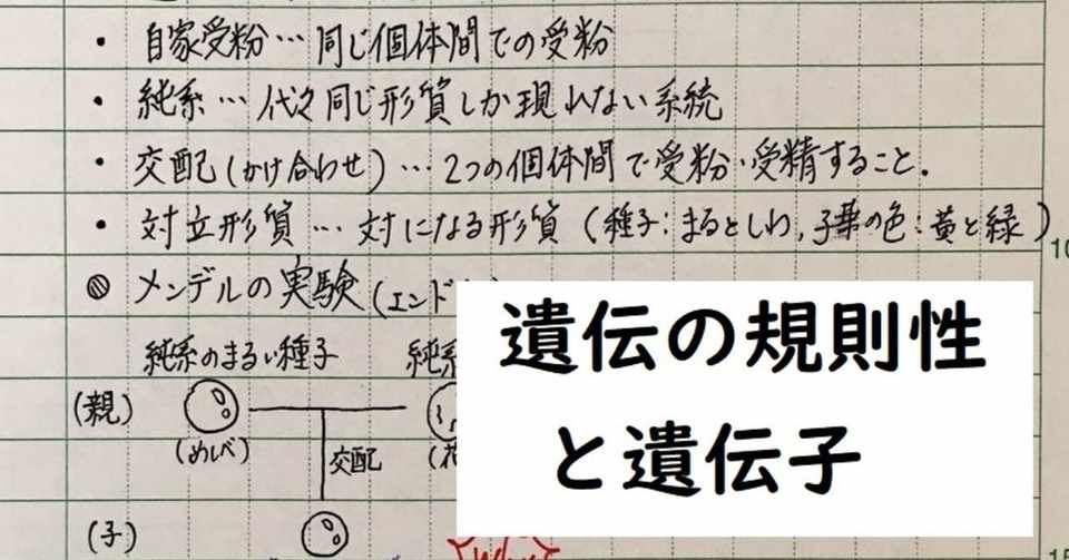 板書ノート6 遺伝の規則性と遺伝子 しゅうか ０名からの塾経営記録 Note