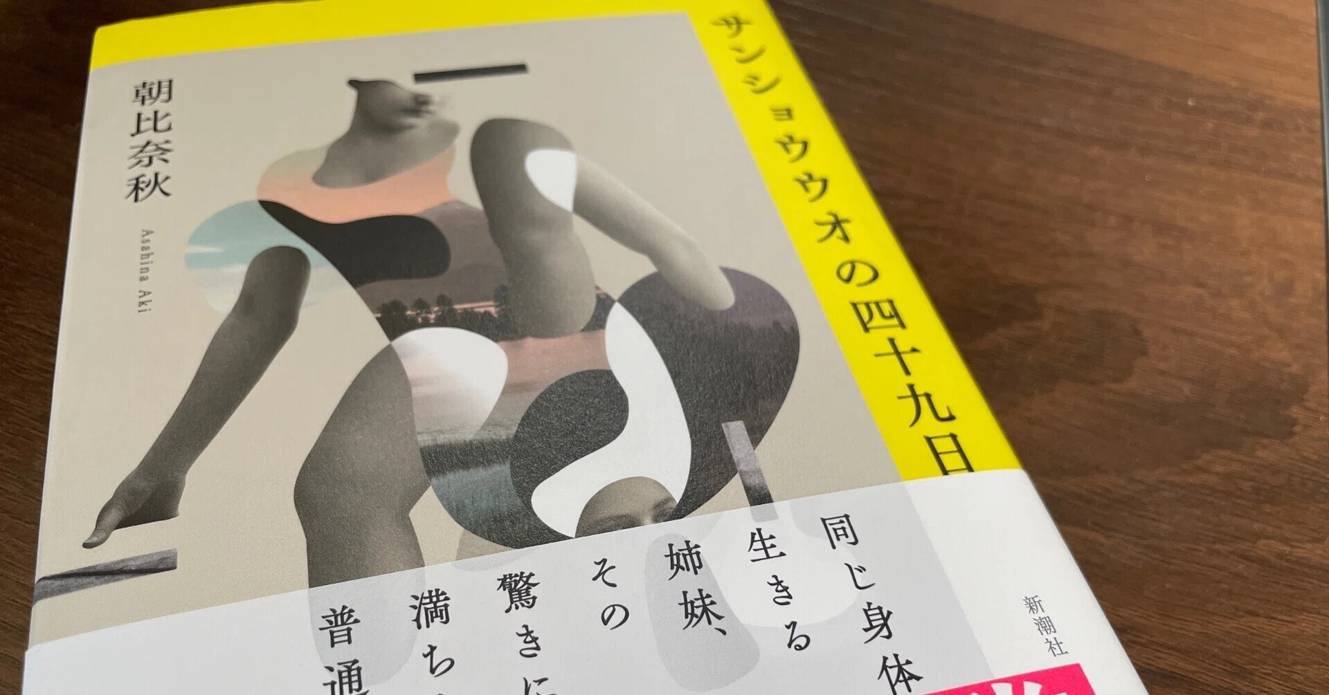 ゆるゆる読書感想文】芥川賞受賞作『サンショウウオの四十九日（著