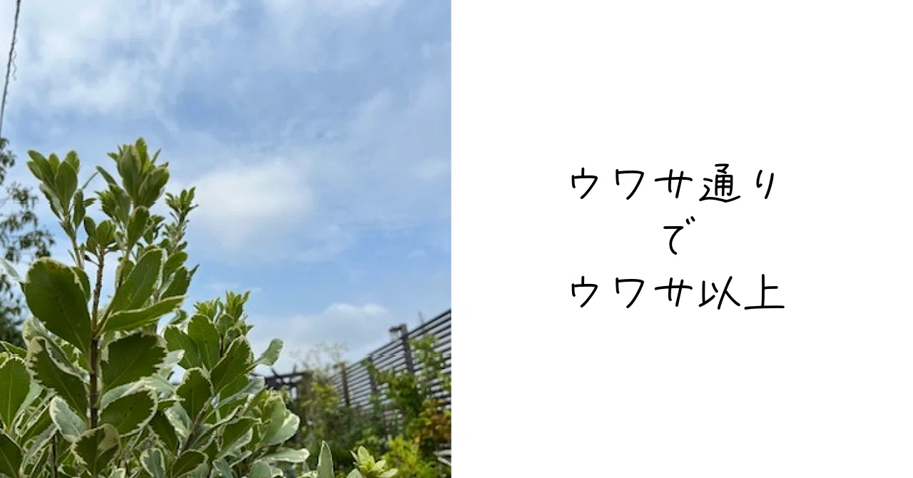 オザキフラワーパークに行ってみた。｜Ms'HIRO