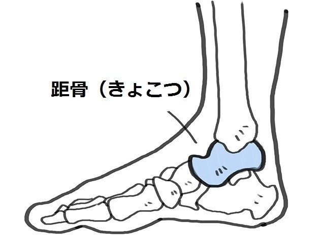 O脚の改善で絶対にやってはいけない事 コバ靴店 こば Note