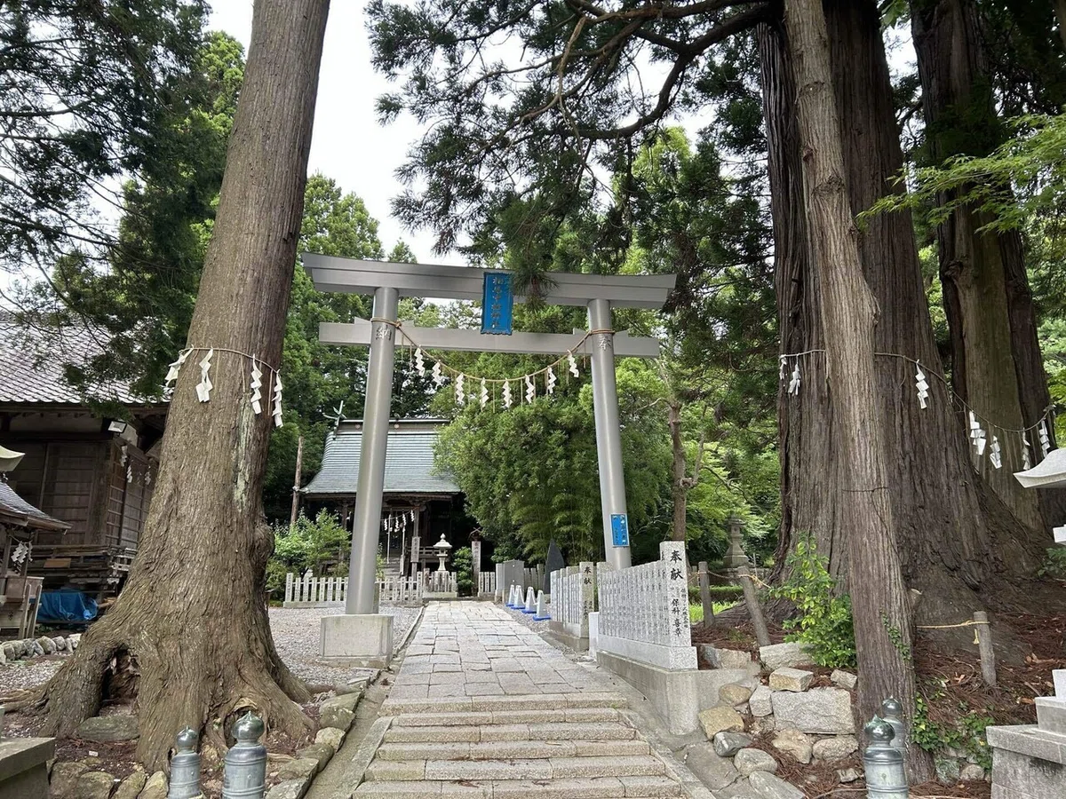画像