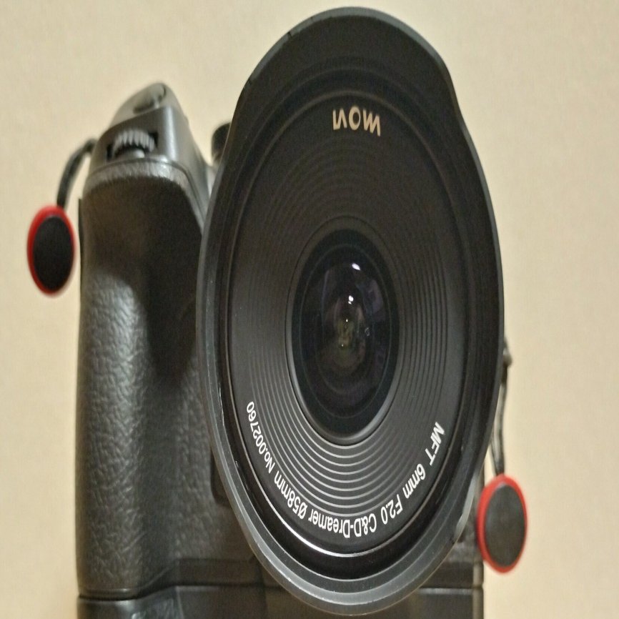 LAOWA 6mm F2 ZERO-D MFT レンズレビュー / OM SYSTEM｜もみじ卍ゅう