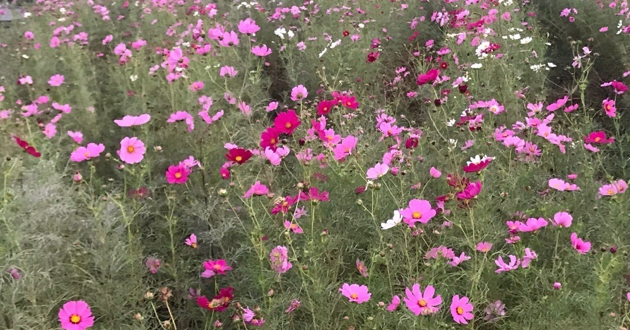 21世紀の貨幣論 メモ はむっち ケンブリッジ英検 Note