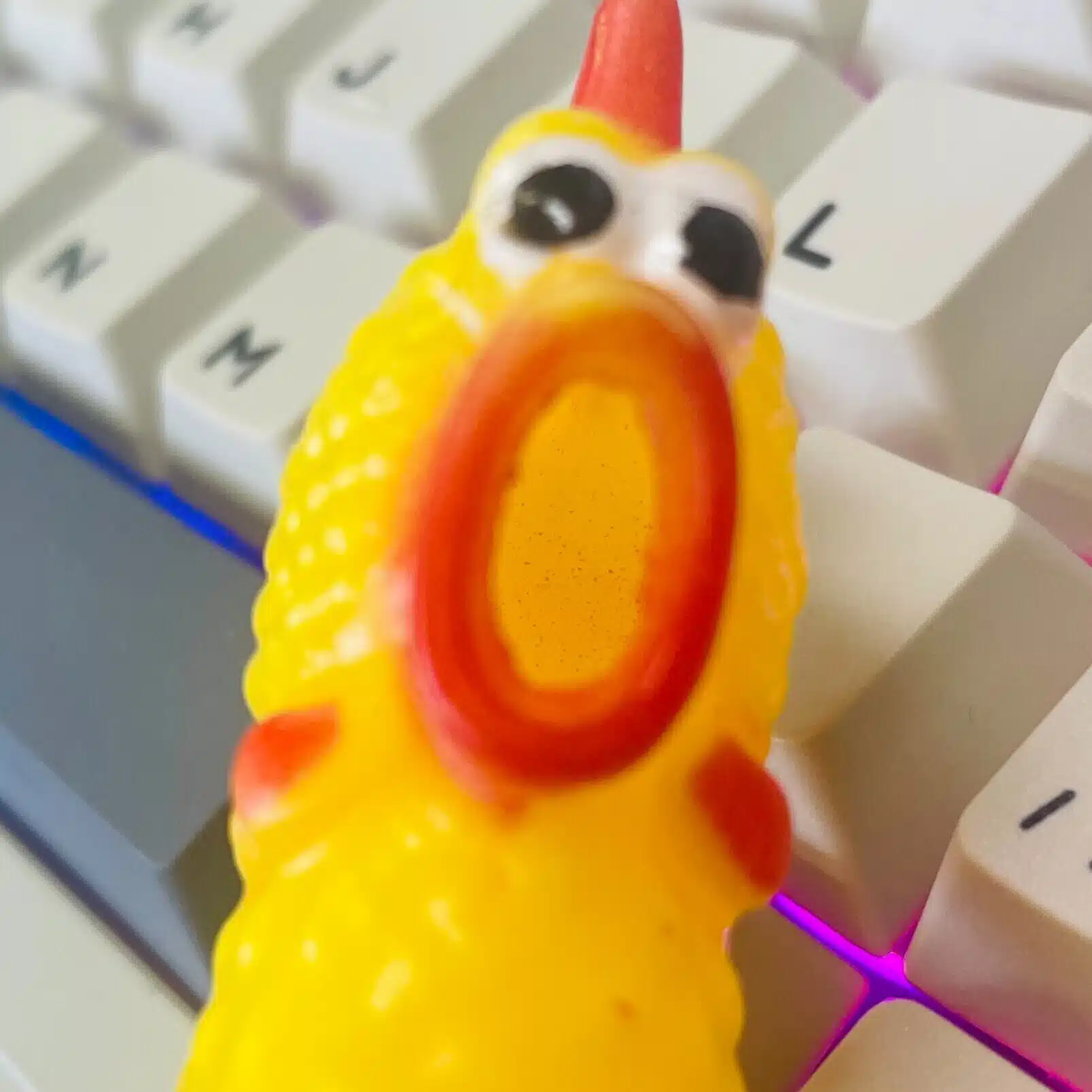 ネコノベル