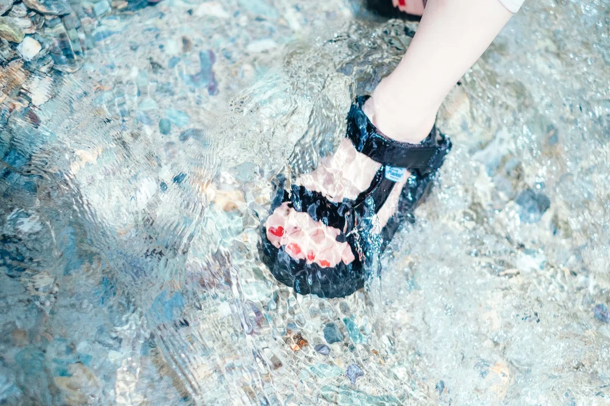 画像7