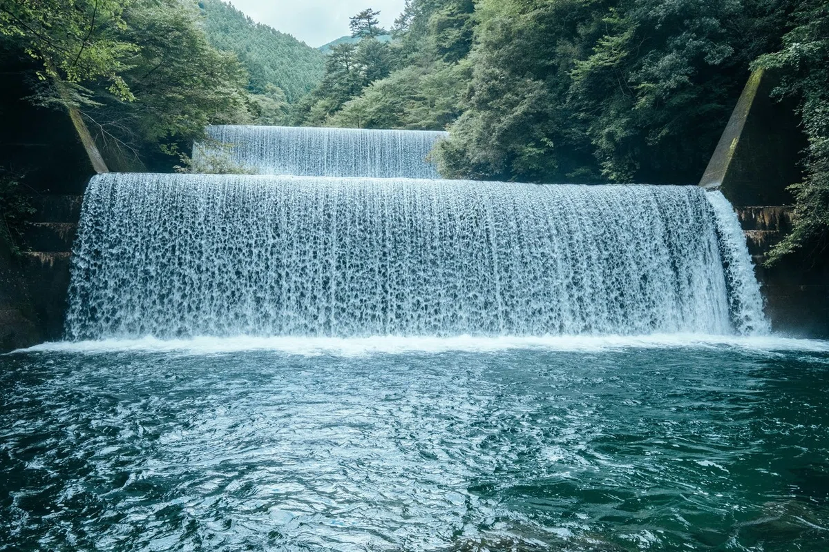 画像13