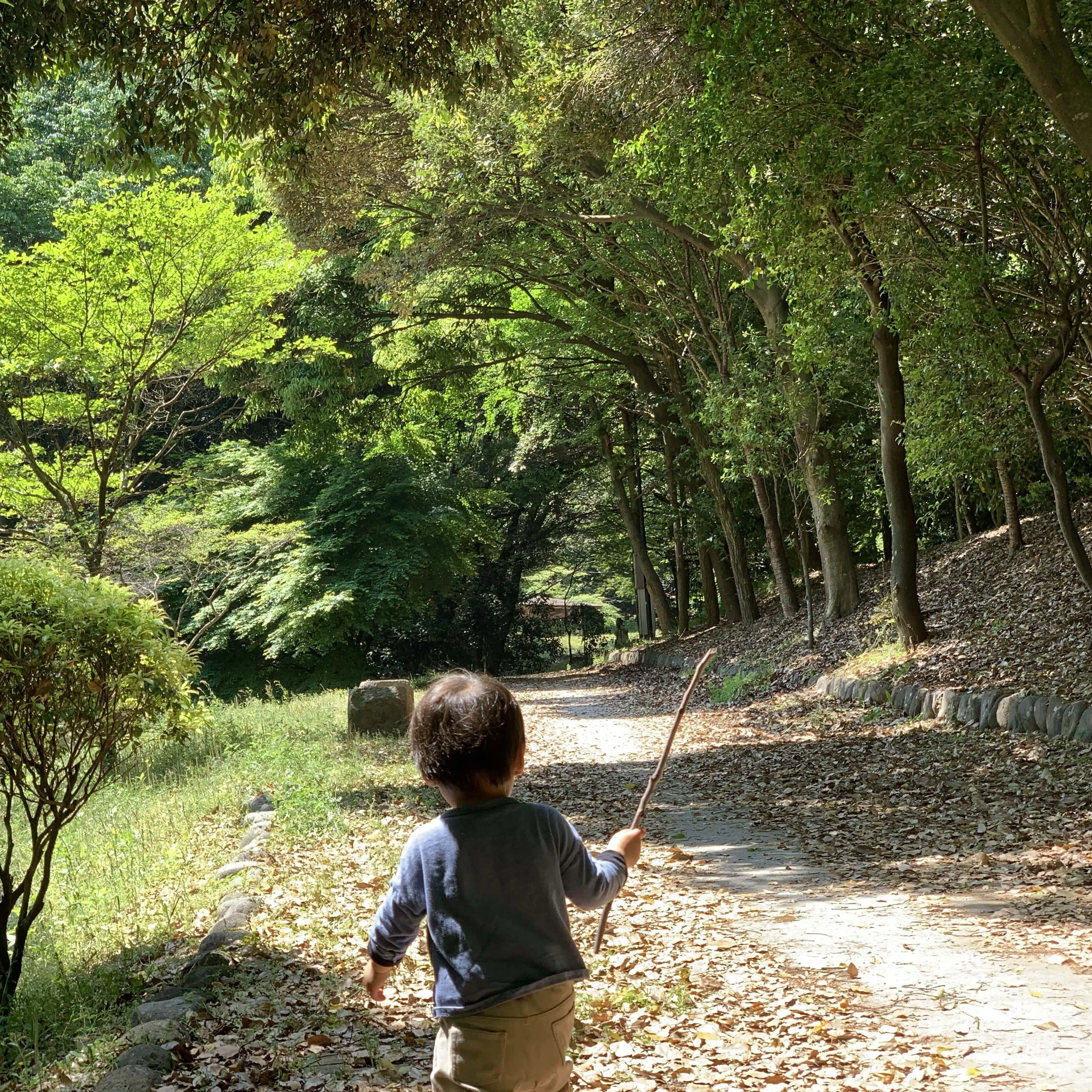 小3】 サピ7月度 組分けテスト自己採点 子供が涙ぐむ｜あおみどり