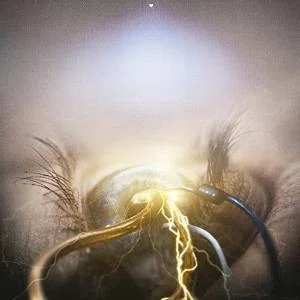 レビュー】EYE OF PROVIDENCE / THE AGONIST｜たろ a.k.a. Taroo-metal
