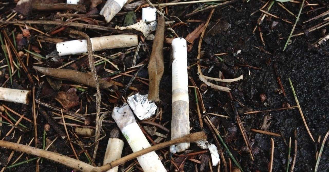 非喫煙者が嫌煙厨になる理由は心理学にヒントがあった りらっくまーち Note