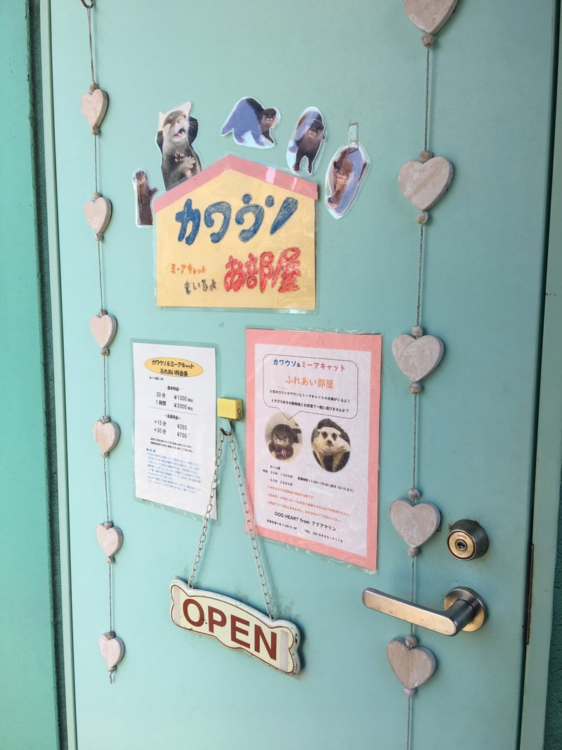 ドッグハートfromアクアマリン 代々木公園 3階 おぐ Note ドッグハートfromアクアマリン 代々木公園 3階 おぐ Note