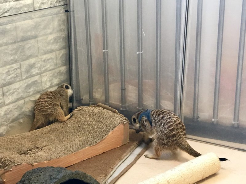 ドッグハートfromアクアマリン 代々木公園 3階 おぐ Note ドッグハートfromアクアマリン 代々木公園 3階 おぐ Note