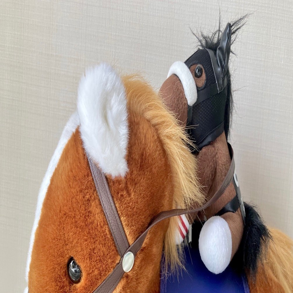 ブケぬいを連れ回す｜はね田