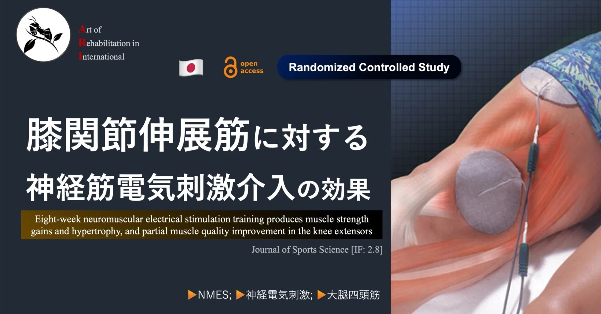膝関節伸展筋に対する神経筋電気刺激介入の効果｜Super Human | 理学
