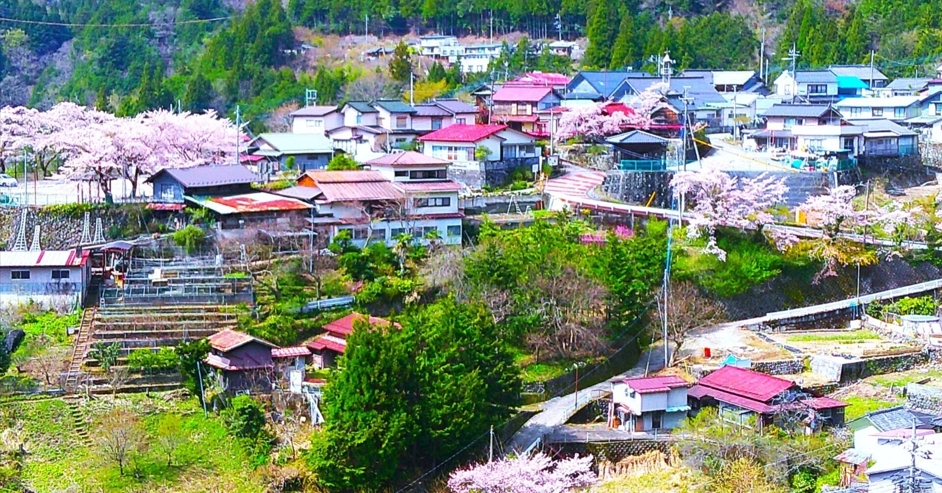 佐野せいじ 里山の四季 セット 9 /５００ 里山の四季写真集【山梨県】｜山梨県の古民家和み庵