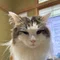meaw222