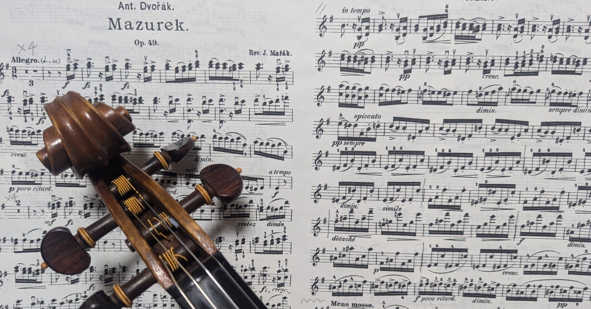 音がなるわんこ 犬の喉から変な音が聞こえる？音の原因と対処法について | ぽちたま