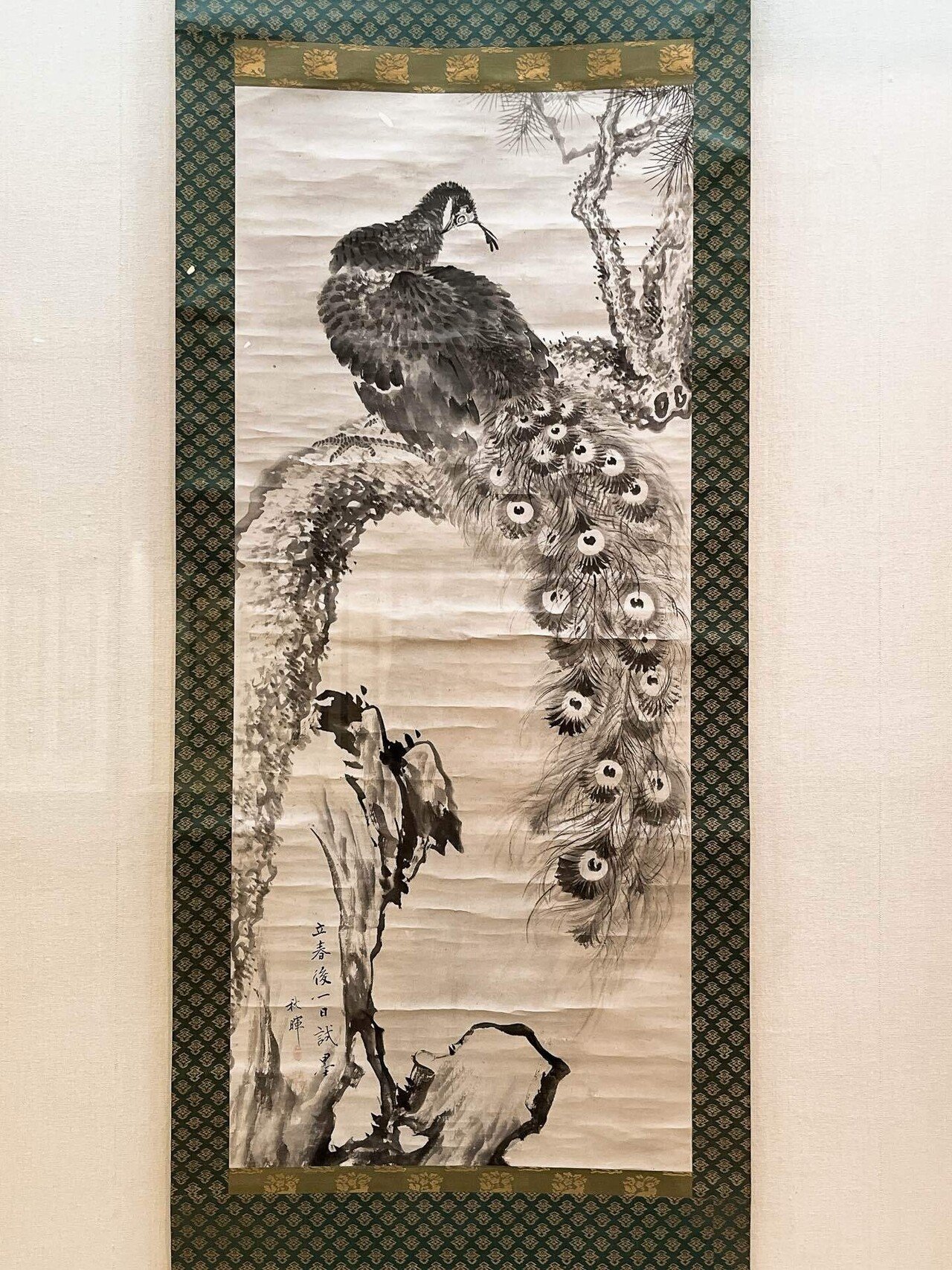 孔雀！孔雀！孔雀！「岡本秋暉 百花百鳥に挑んだ江戸の絵師―摘水軒