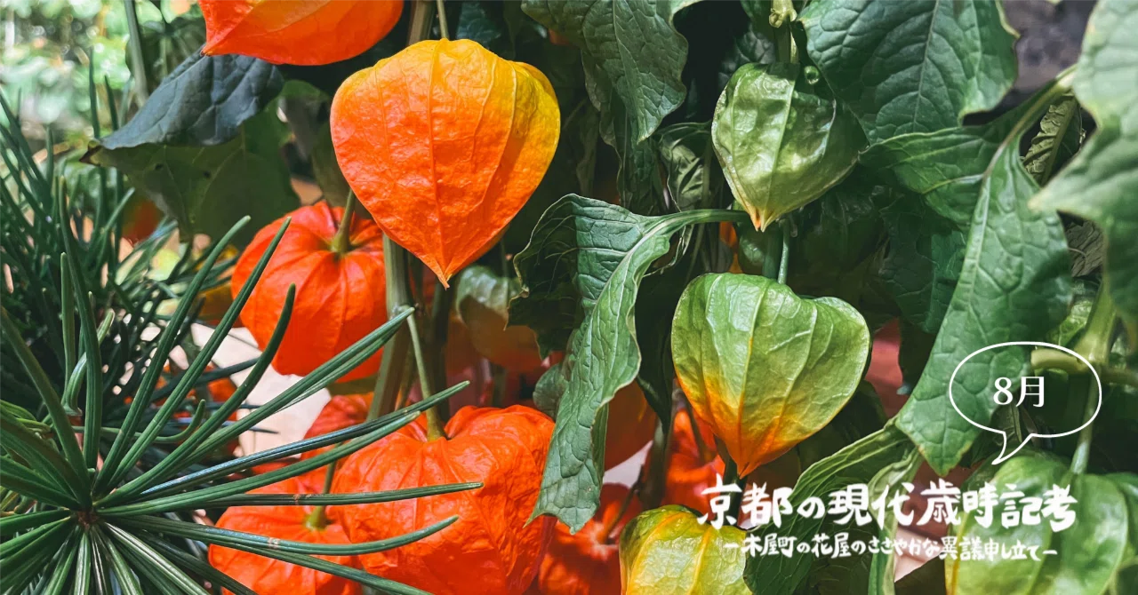 高野槙 と は