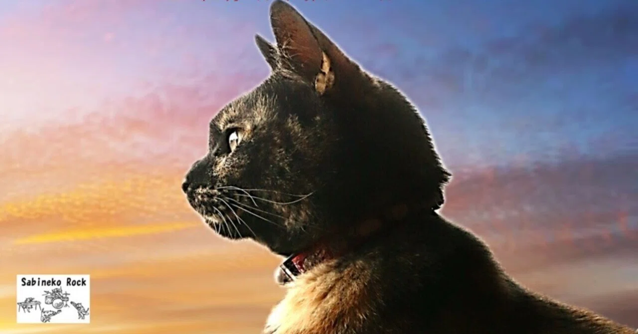 サビ猫ロック 2024 PHASE2 発売のご案内｜猪又酒造株式会社＠つき