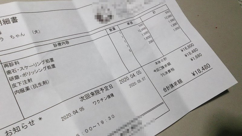 犬の歯石取り Chocolat Note 犬の歯石取り Chocolat Note