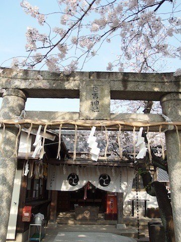 境内にはいろんな神様が祀られていた。代表格の日吉神社。