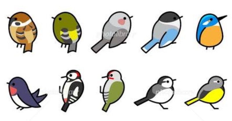 第578回 季節の野鳥 夏の野鳥 翆野 大地 Note