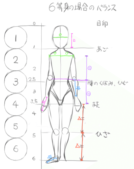 画力編 頭身を考える Iris Note 画力編 頭身を考える Iris Note