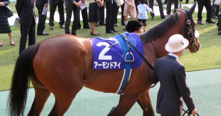 アーモンドアイ」の人気タグ記事一覧｜note ――つくる、つながる