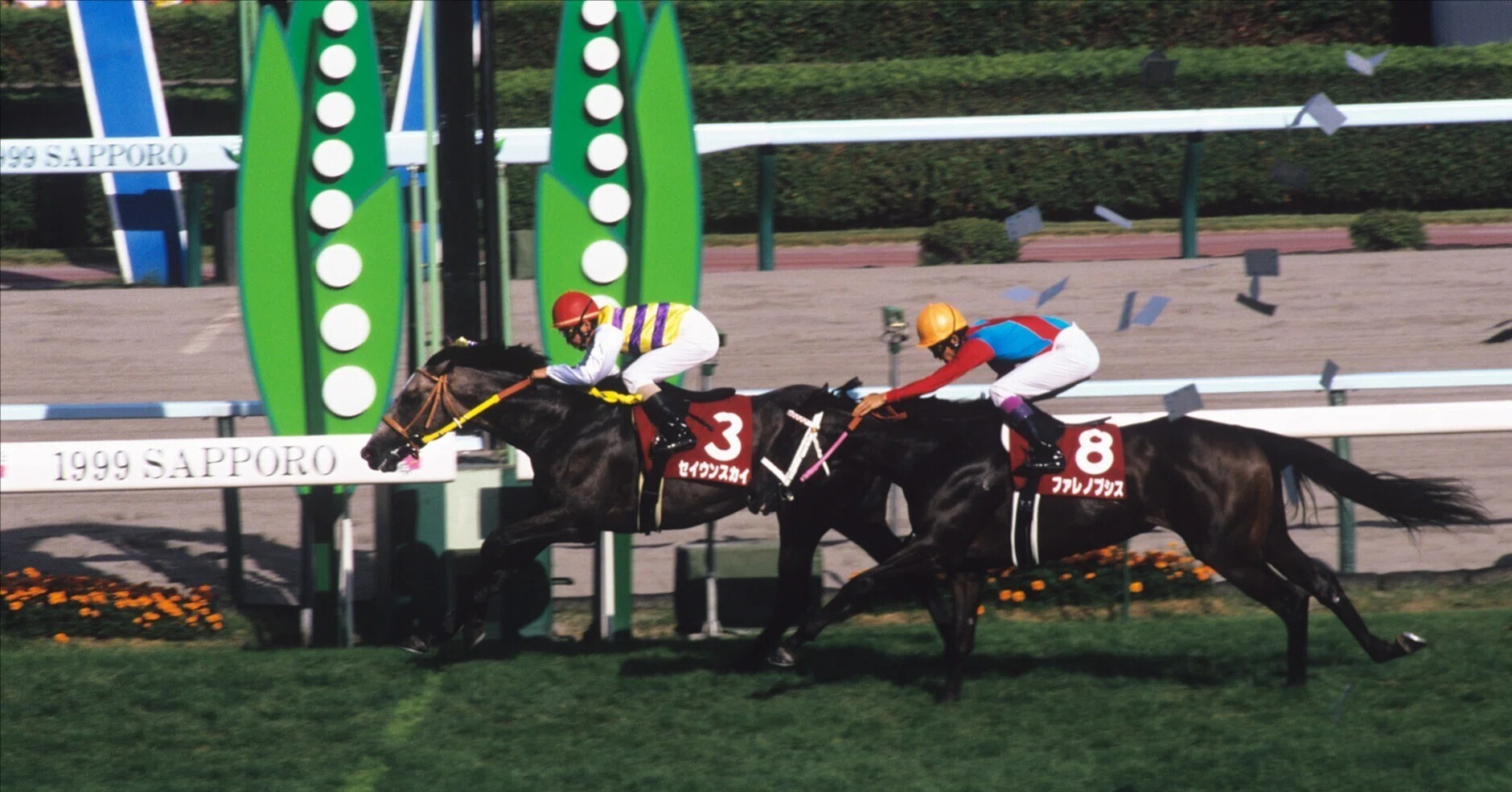GⅡ札幌記念｜タイツ・競馬ライター【無料予想と馬のお話】