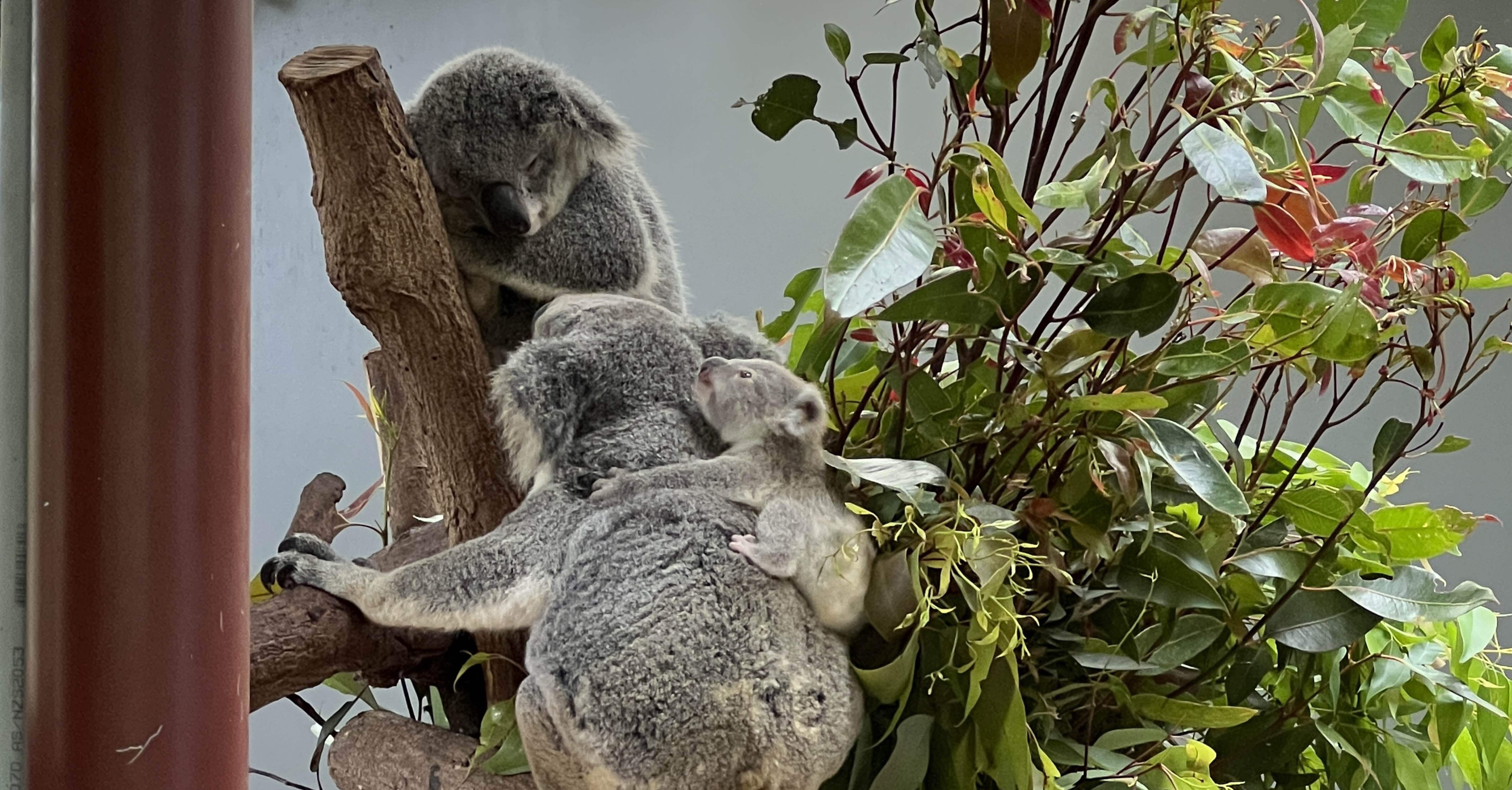 c7f11b4efba12762e0335cea4a13d8