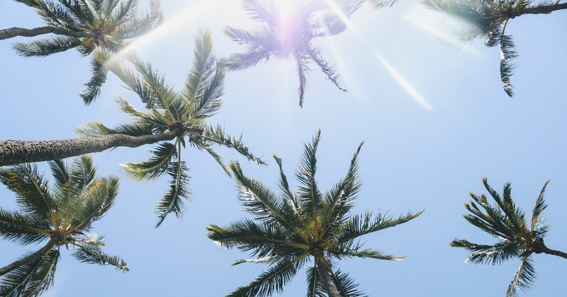 達人が解説するハワイのホノルル空港 ワイキキのホテル間の交通手段比較 ハワイ先生 Note