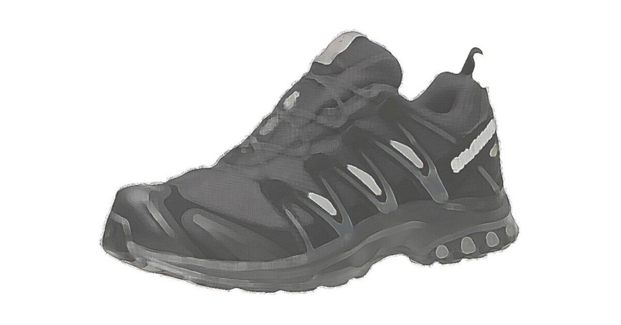 特殊部隊なくつ（その0）ASOLO FUGITIVE GTX｜リコ・チンデル