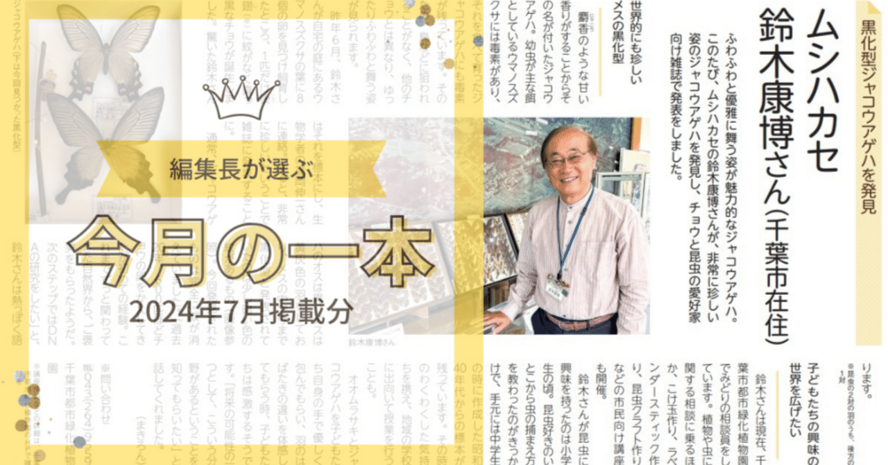 編集長が選ぶ今月の注目記事！地域新聞社【2024年7月】｜株式