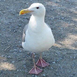 トップに移動