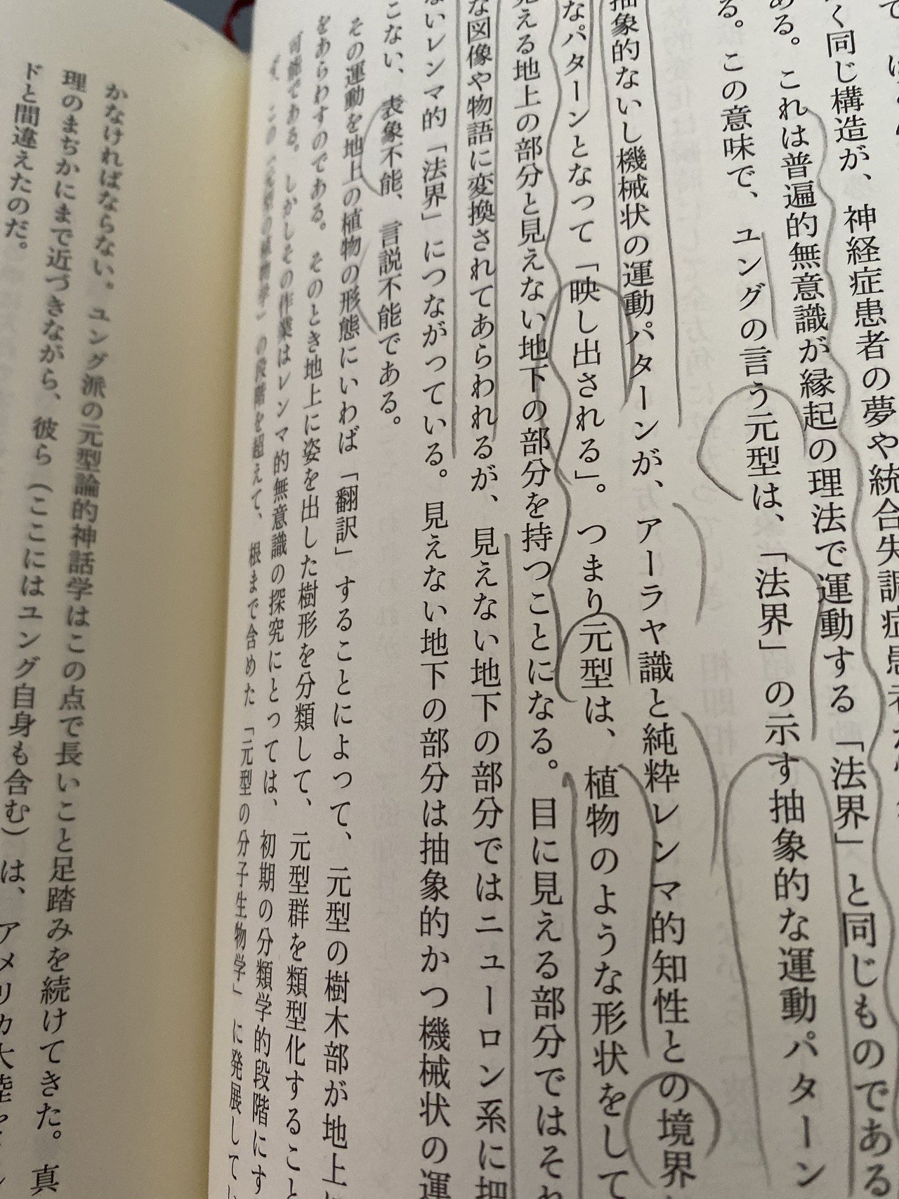 中沢新一『レンマ学』×ユング『元型論』を読む −レンマ的知性が