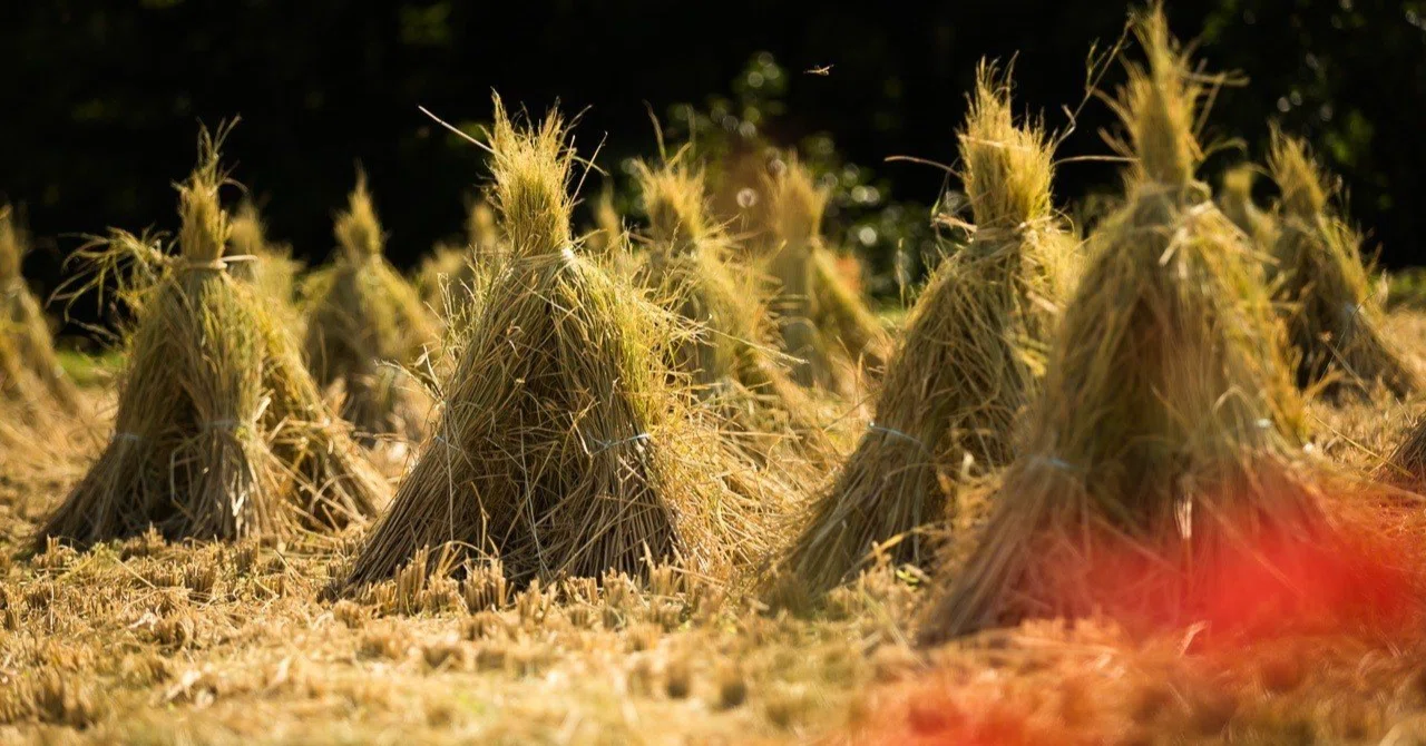 Triangular Haystack どうする?負動産の実家6「この家には住めない」|hoho