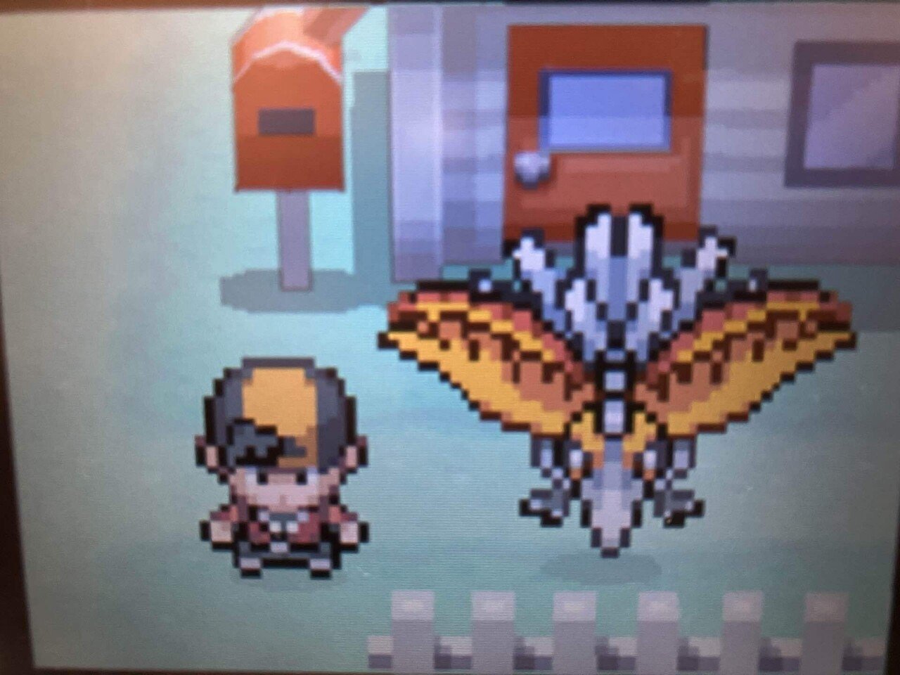 ポケモン ホワイト 色デオキシス3.4世代リボンコンプ未使用リバティチケ 131 ポケモン ホワイト 色デオキシス3.4世代リボンコンプ未使用