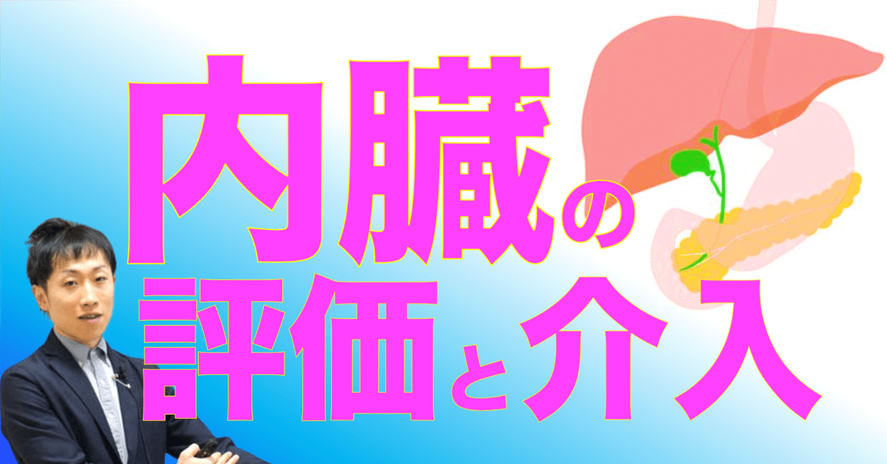 内臓の評価と介入｜アレルギーとたたかう理学療法士 及川文宏