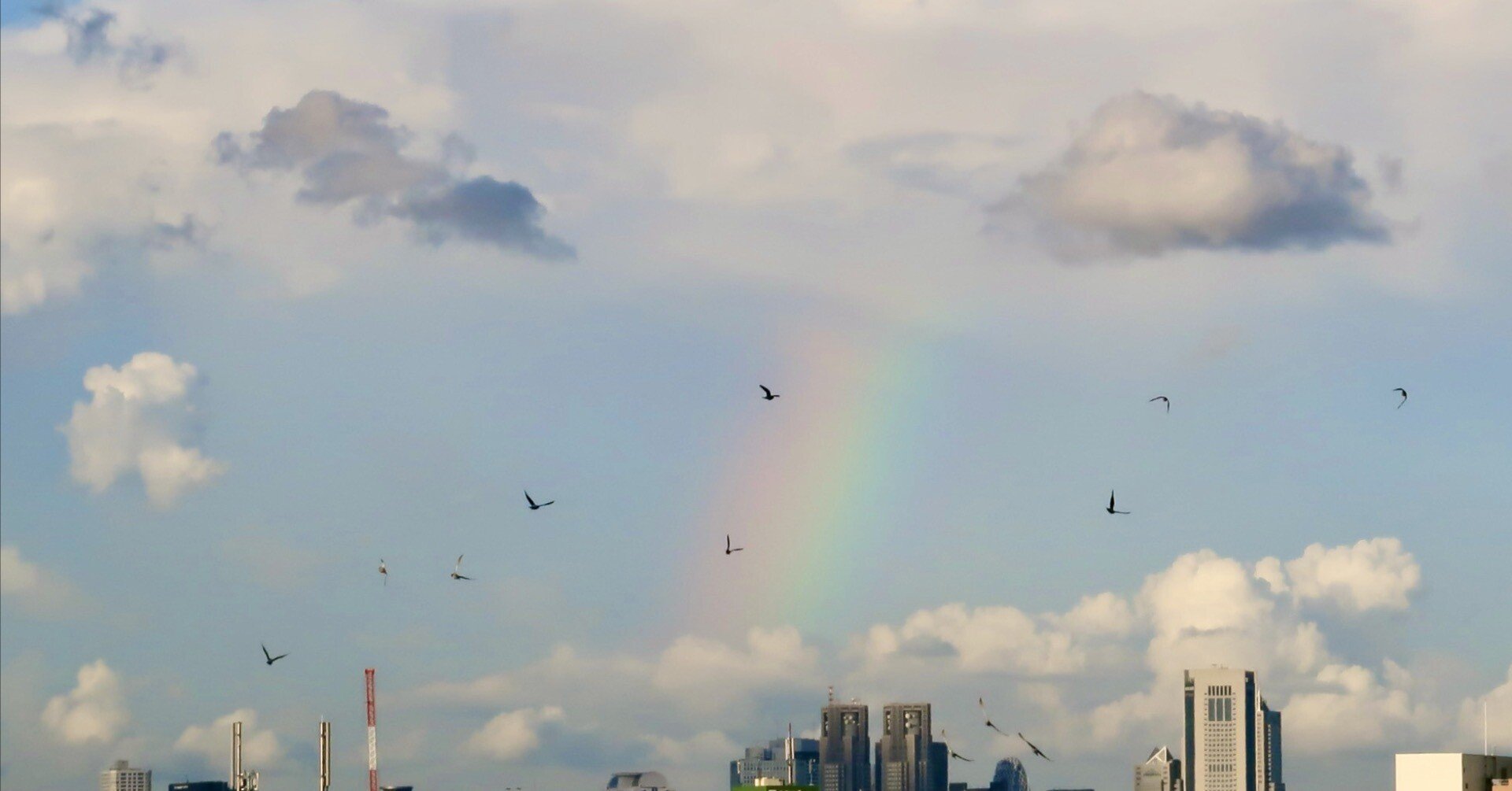 d836b20982ff188da4ca78d11a5dba