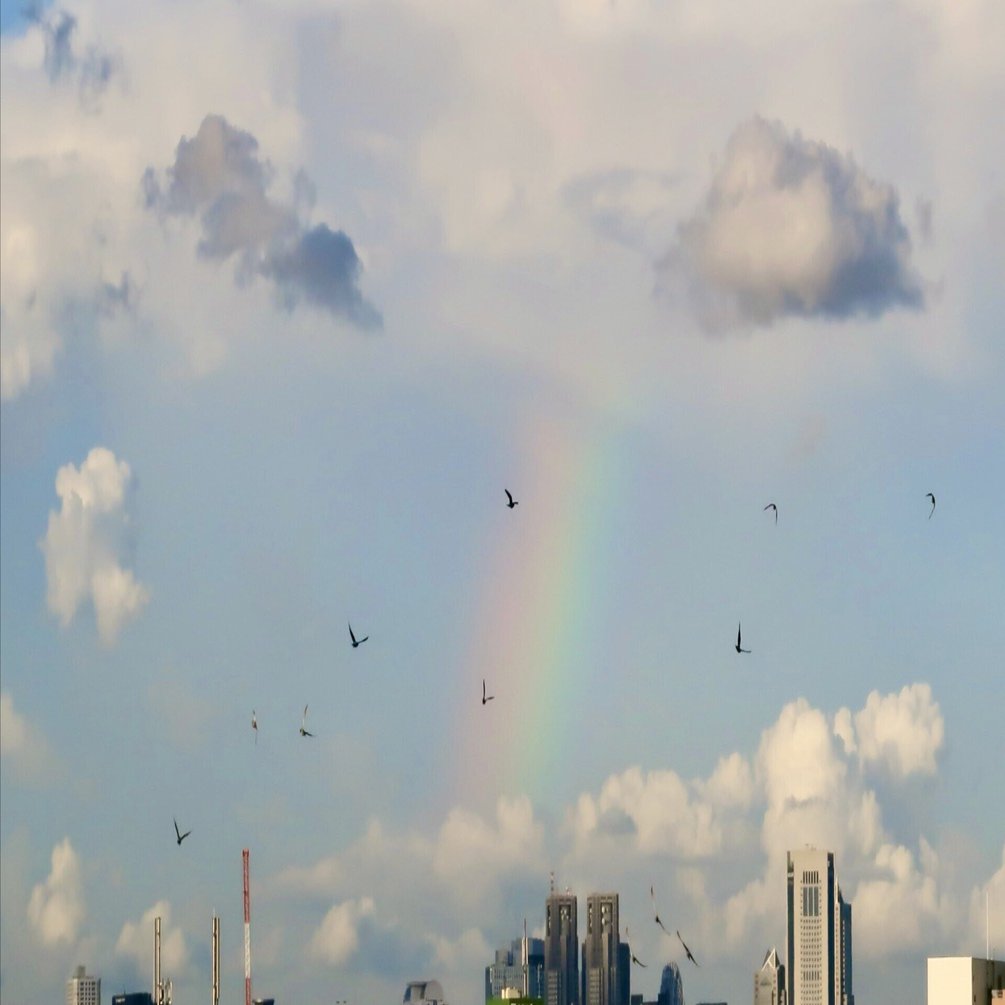 Looking for a Rainbow｜高野寛のnote