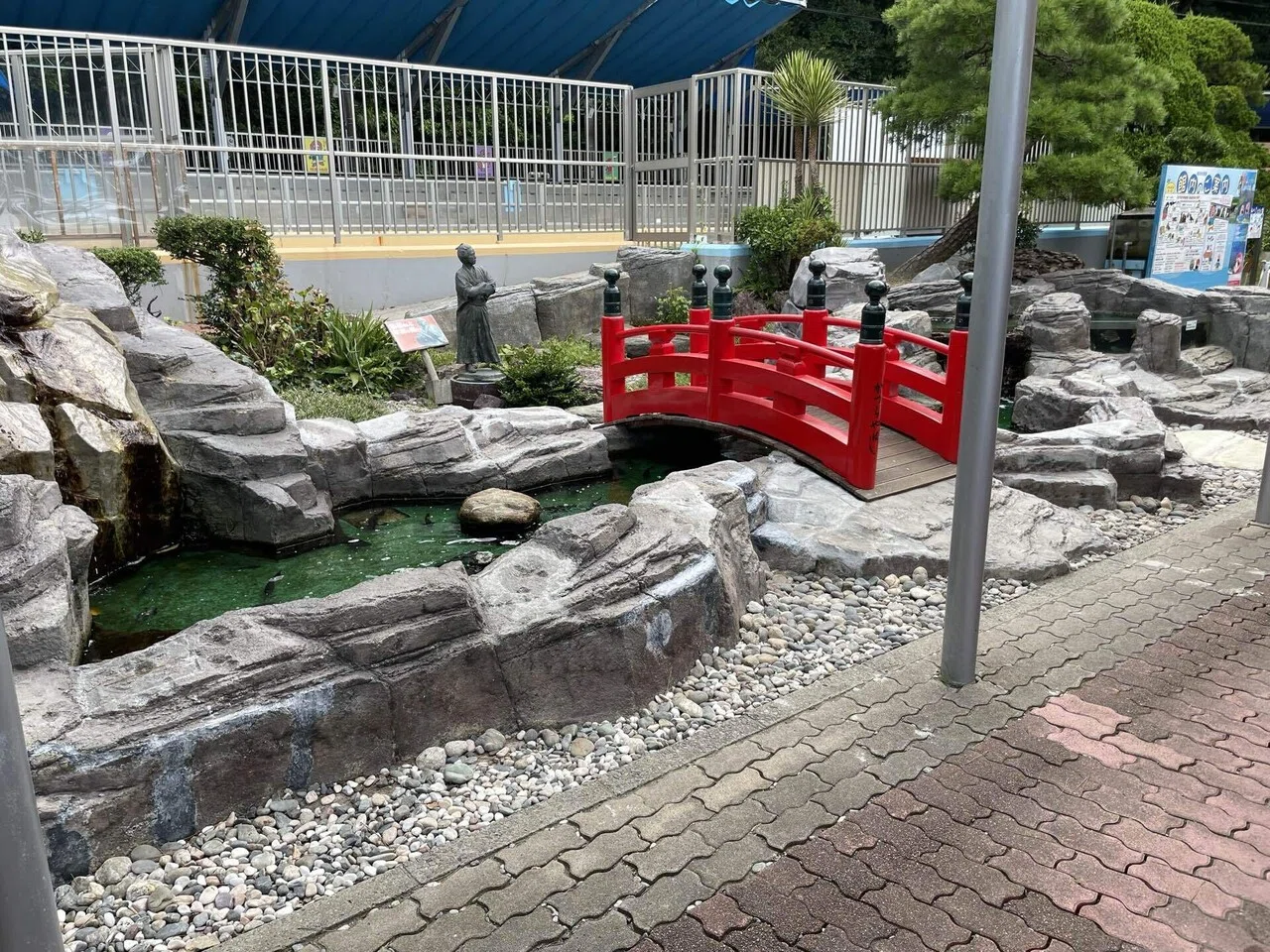 金魚水槽、エサやり体験始めます‼️｜桂浜水族館 公式