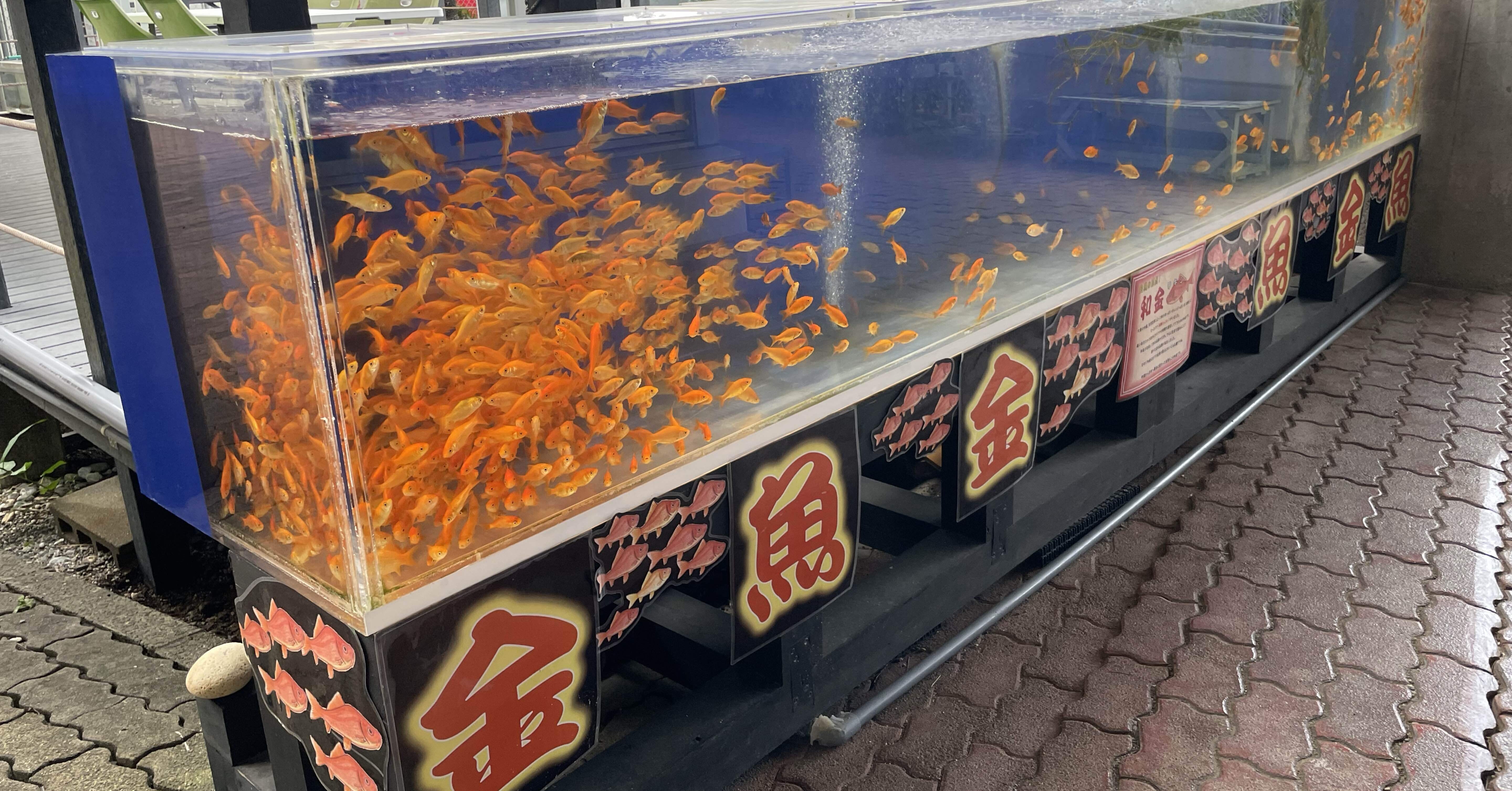 ff54e53127b4fd4287339c52c120d3