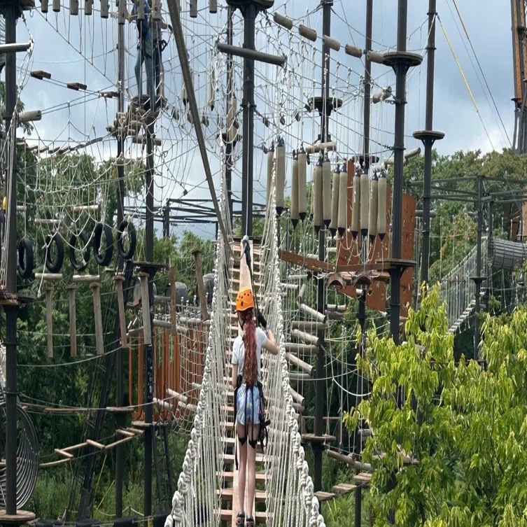 今日ときめいたOUTDOOR ACTIVITY 196ー「ZIPLINE」(ジップライン)｜Amachan