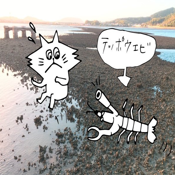 テッポウエビ編 しばた みなみ Note