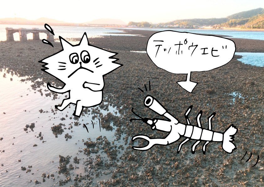 テッポウエビ編 しばた みなみ Note テッポウエビ編 しばた みなみ Note