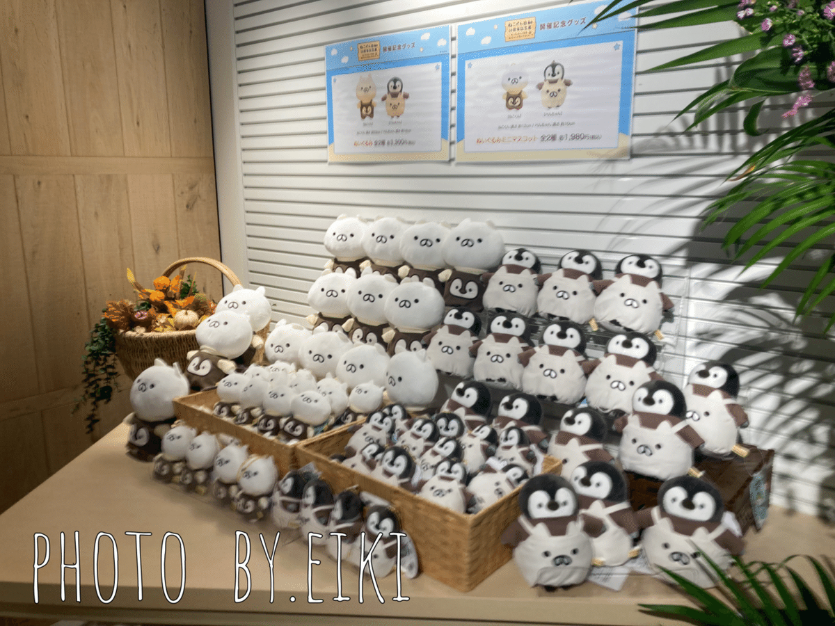 ねこぺん日和10周年記念展 渋谷MODI・渋谷HMVにて|英希 ねこぺん日和10周年記念展 渋谷MODI・渋谷HMVにて|英希