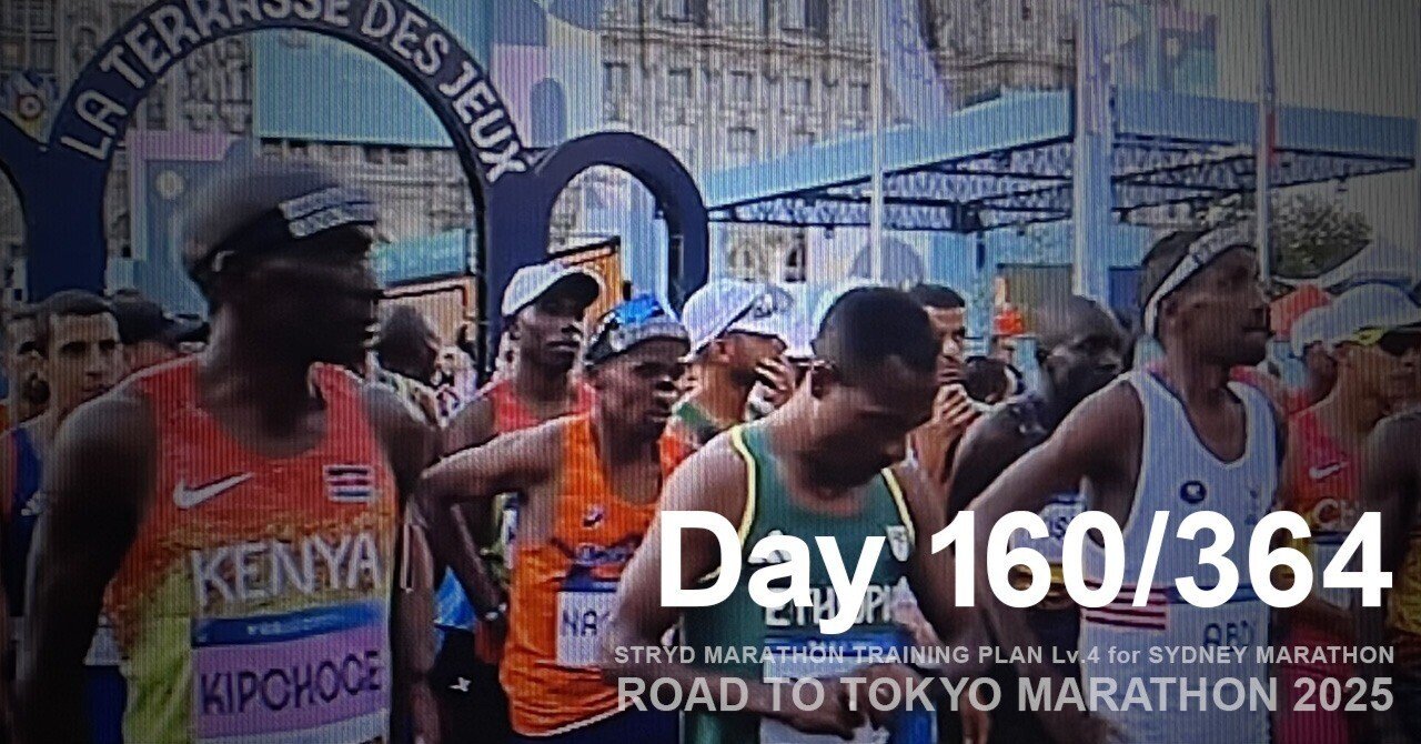 #東京マラソン2025 ウィンドブレーカー 東京マラソン2025 1007位 並木大介 駒澤大 2:53:04 ⏱Splits
