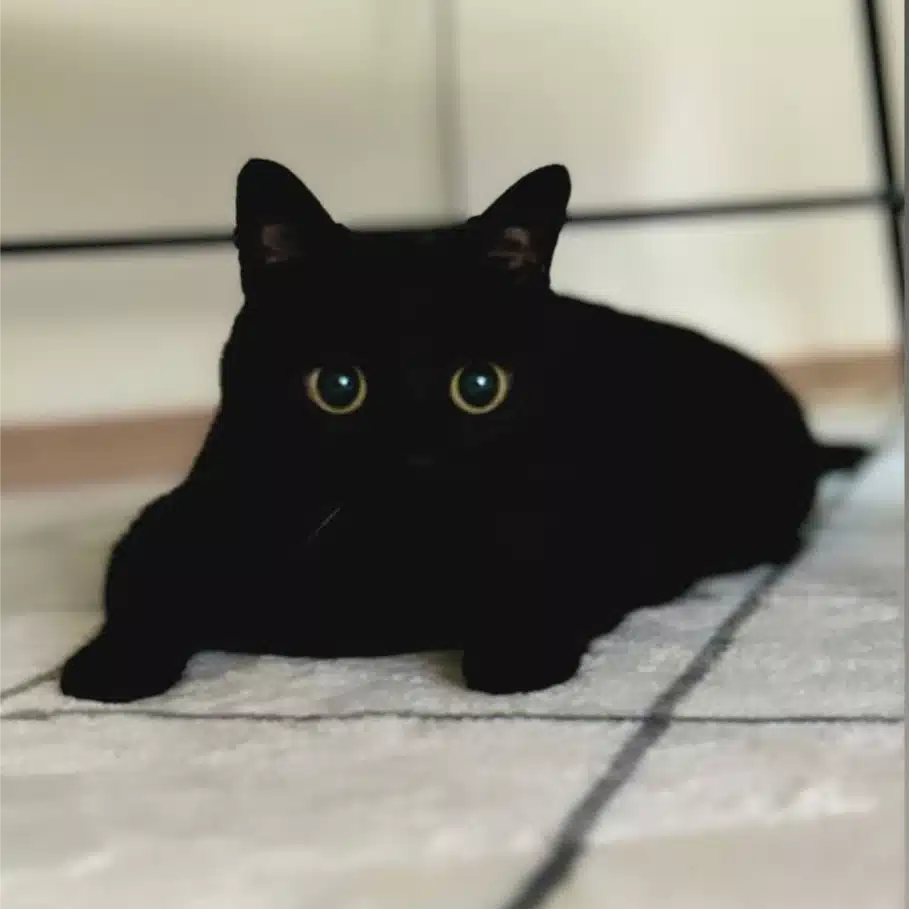 リバーリッチ