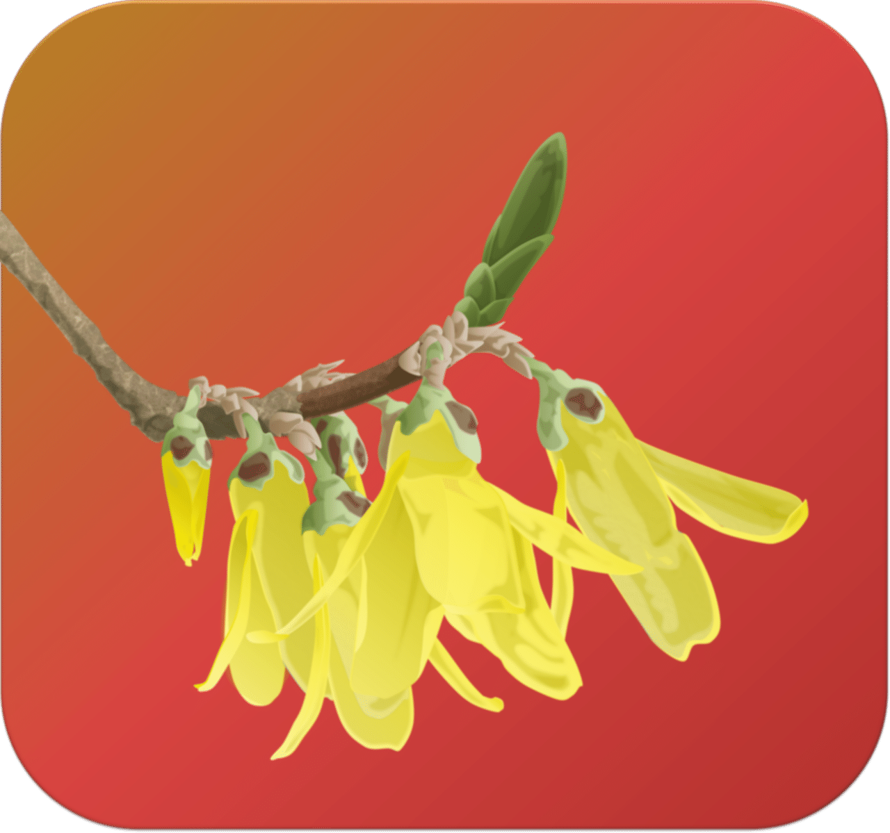 Excelイラスト レンギョウ むぅにぃ Note